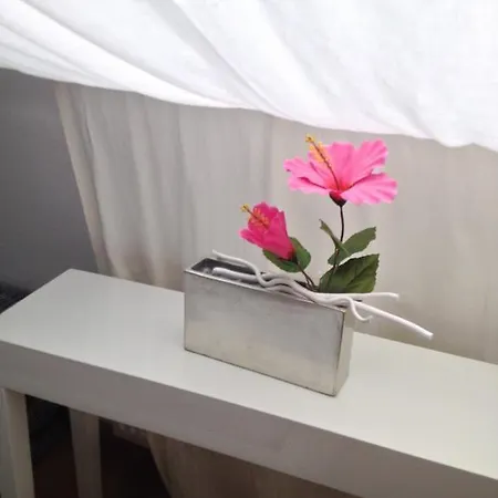 Appartement Studio9 *